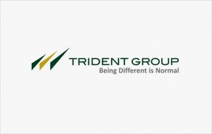 trident-group-inspired trident-group-inspired